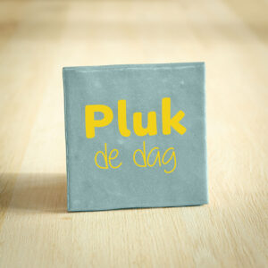 Tegeltje - Pluk De Dag | Lichtblauw & Geel | 10x10cm