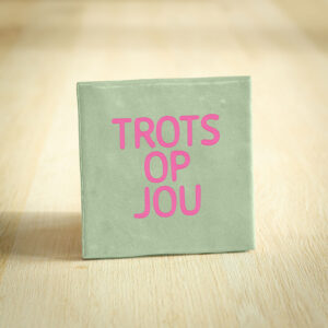 Tegeltje - Trots op jou | Lichtgroen & Roze | 10x10cm